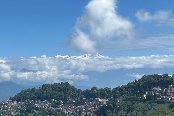 WhatsApp Image 2026-03-24 at 3.40.37 PM