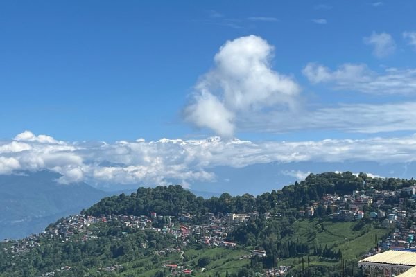 WhatsApp Image 2026-03-24 at 3.40.38 PM